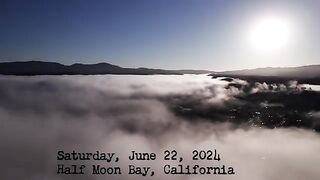 Half Moon Bay Goat Migration 2024
