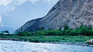 2917,status,status video,status song,status whatsap,beast song,good song,video,natural