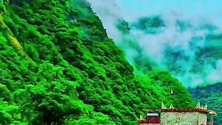 2919,status,status video,status song,status whatsap,beast song,good song,video,natural