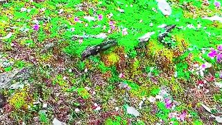 2920,status,status video,status song,status whatsap,beast song,good song,video,natural