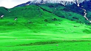 2921,status,status video,status song,status whatsap,beast song,good song,video,natural