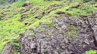 2932,status,status video,status song,status whatsap,beast song,good song,video,natural