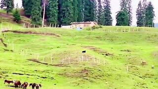 2936,status,status video,status song,status whatsap,beast song,good song,video,natural