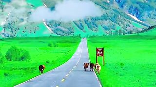 2937,status,status video,status song,status whatsap,beast song,good song,video,natural