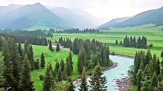 2938,status,status video,status song,status whatsap,beast song,good song,video,natural