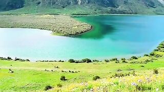 2940,status,status video,status song,status whatsap,beast song,good song,video,natural
