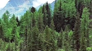 2944,status,status video,status song,status whatsap,beast song,good song,video,natural