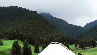 2945,status,status video,status song,status whatsap,beast song,good song,video,natural