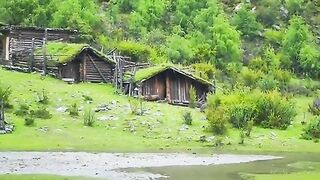 2948,status,status video,status song,status whatsap,beast song,good song,video,natural