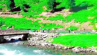 2952,status,status video,status song,status whatsap,beast song,good song,video,natural