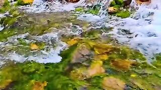2953,status,status video,status song,status whatsap,beast song,good song,video,natural