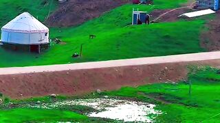 2954,status,status video,status song,status whatsap,beast song,good song,video,natural