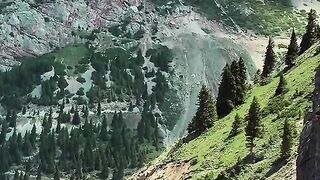 2955,status,status video,status song,status whatsap,beast song,good song,video,natural