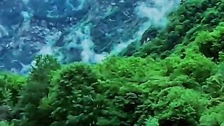 2956,status,status video,status song,status whatsap,beast song,good song,video,natural