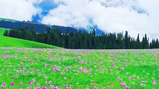 2957,status,status video,status song,status whatsap,beast song,good song,video,natural