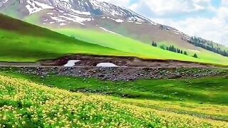 2958,status,status video,status song,status whatsap,beast song,good song,video,natural