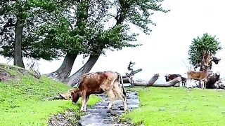 2960,status,status video,status song,status whatsap,beast song,good song,video,natural