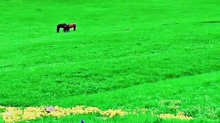 2961,status,status video,status song,status whatsap,beast song,good song,video,natural