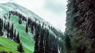 2968,status,status video,status song,status whatsap,beast song,good song,video,natural