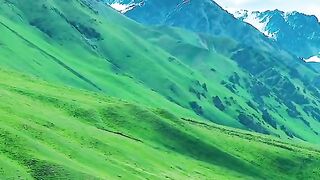 2971,status,status video,status song,status whatsap,beast song,good song,video,natural