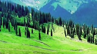 2972,status,status video,status song,status whatsap,beast song,good song,video,natural