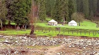 2974,status,status video,status song,status whatsap,beast song,good song,video,natural