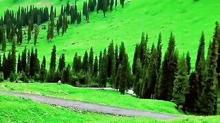 2978,status,status video,status song,status whatsap,beast song,good song,video,natural