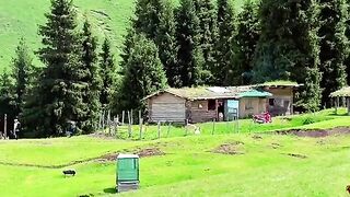 2980,status,status video,status song,status whatsap,beast song,good song,video,natural