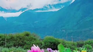 2985,status,status video,status song,status whatsap,beast song,good song,video,natural