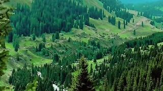 2988,status,status video,status song,status whatsap,beast song,good song,video,natural