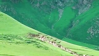 2990,status,status video,status song,status whatsap,beast song,good song,video,natural