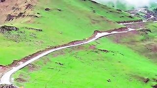 2991,status,status video,status song,status whatsap,beast song,good song,video,natural