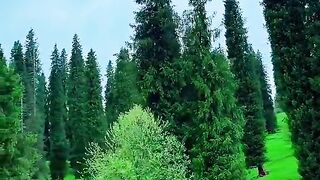 2993,status,status video,status song,status whatsap,beast song,good song,video,natural