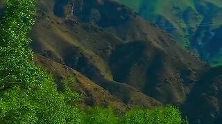2994,status,status video,status song,status whatsap,beast song,good song,video,natural