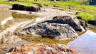 2995,status,status video,status song,status whatsap,beast song,good song,video,natural