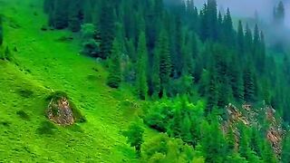 2996,status,status video,status song,status whatsap,beast song,good song,video,natural
