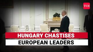 'Don't Need Your Approval '_ NATO Leader Tears Into West After Putin Meeting.