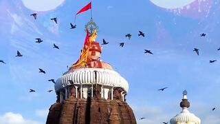 Jagannath puri rath yatra is the biggest festival in the world#jagannath #puri