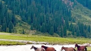 Sakardu Gilgit Baltistan