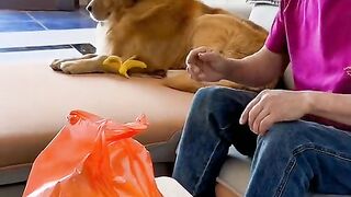 Funny video
