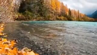 Zindagi ha kitni haseen