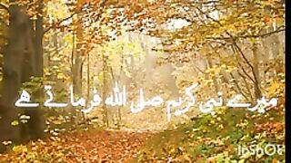 Mere kareem nabi ﷺ ne Irshad farmaya _ Haditherasool @islamicstatus @hadees _144p. plz subscribe and watch my video