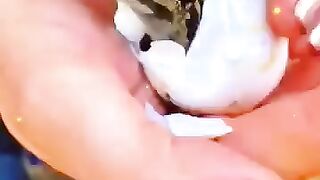 Ladki ko Mila crocodile ka baccha