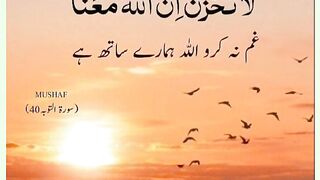 شرعی مسائل اور ان کا حل 270