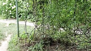 Botanical Garden 3