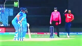 Yorker and players