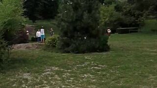 Металлический сад киева