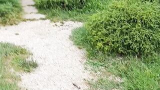 Ботанический сад киев