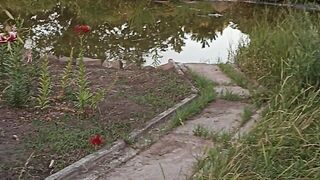 Ботаническом са