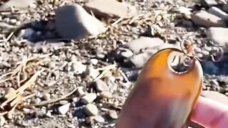 L'homme élève un œuf de requin dans sa maison #shorts.
